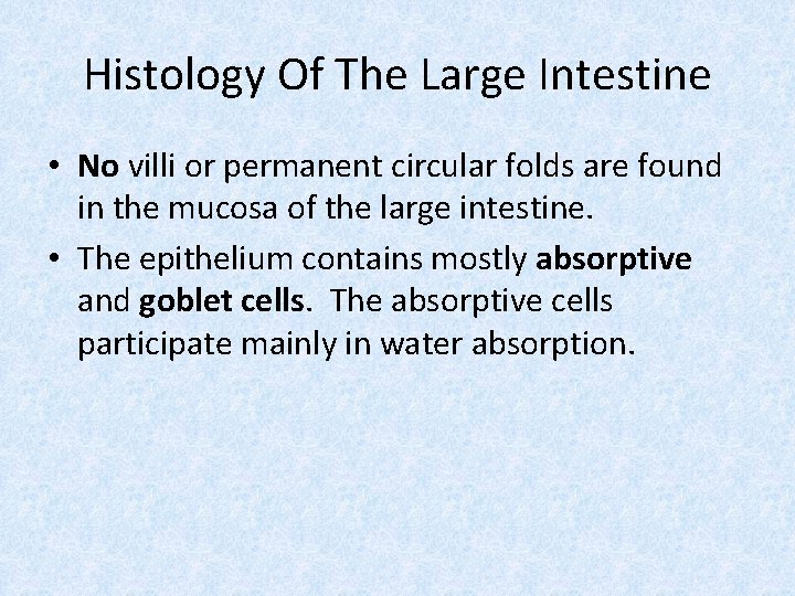 Histology Of The Large Intestine • No villi or permanent circular folds are found