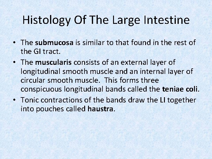 Histology Of The Large Intestine • The submucosa is similar to that found in