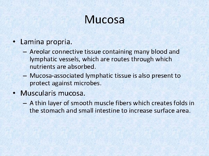 Mucosa • Lamina propria. – Areolar connective tissue containing many blood and lymphatic vessels,