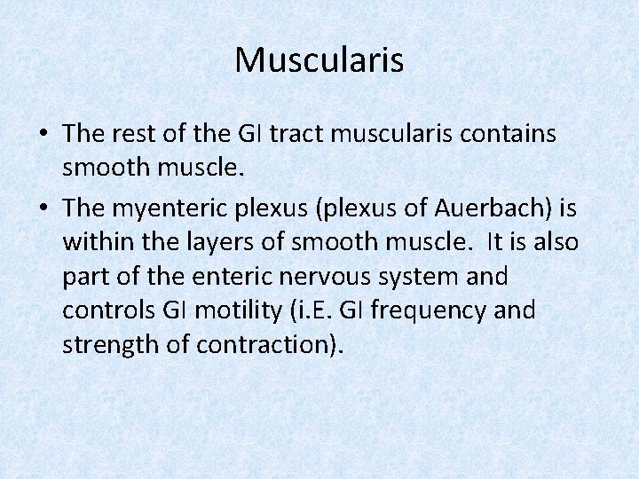 Muscularis • The rest of the GI tract muscularis contains smooth muscle. • The