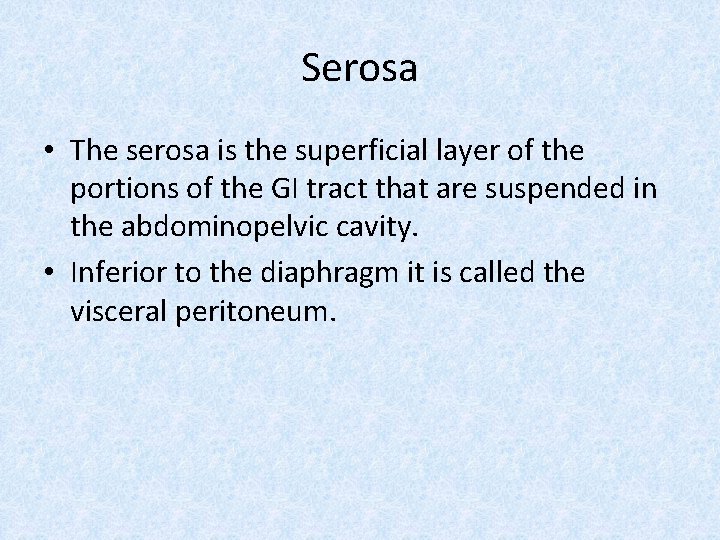 Serosa • The serosa is the superficial layer of the portions of the GI