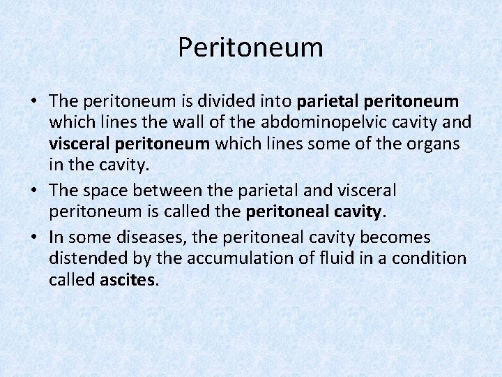 Peritoneum • The peritoneum is divided into parietal peritoneum which lines the wall of