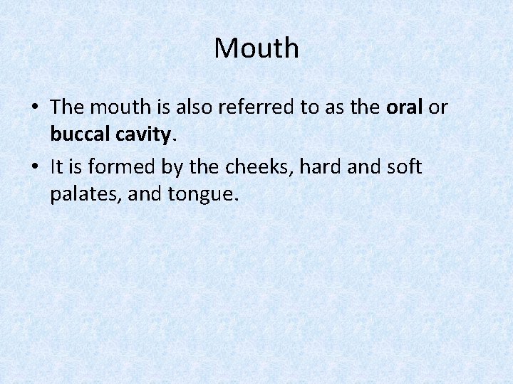 Mouth • The mouth is also referred to as the oral or buccal cavity.