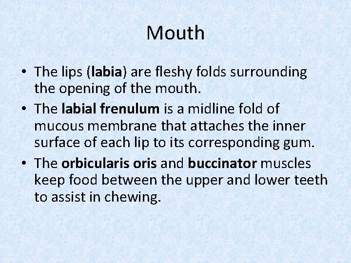 Mouth • The lips (labia) are fleshy folds surrounding the opening of the mouth.