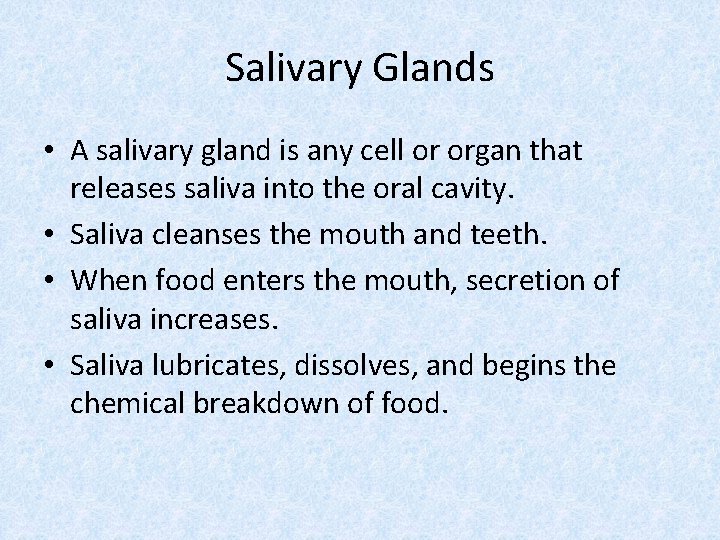 Salivary Glands • A salivary gland is any cell or organ that releases saliva