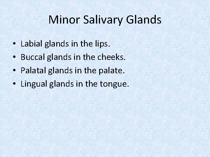 Minor Salivary Glands • • Labial glands in the lips. Buccal glands in the