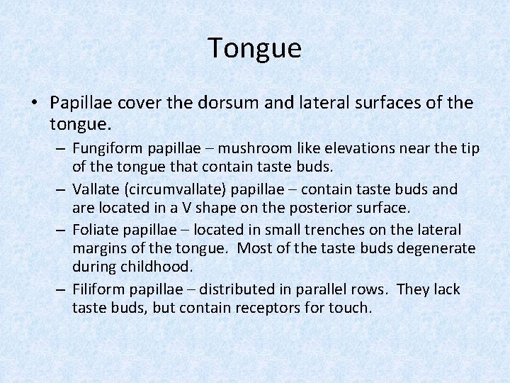 Tongue • Papillae cover the dorsum and lateral surfaces of the tongue. – Fungiform