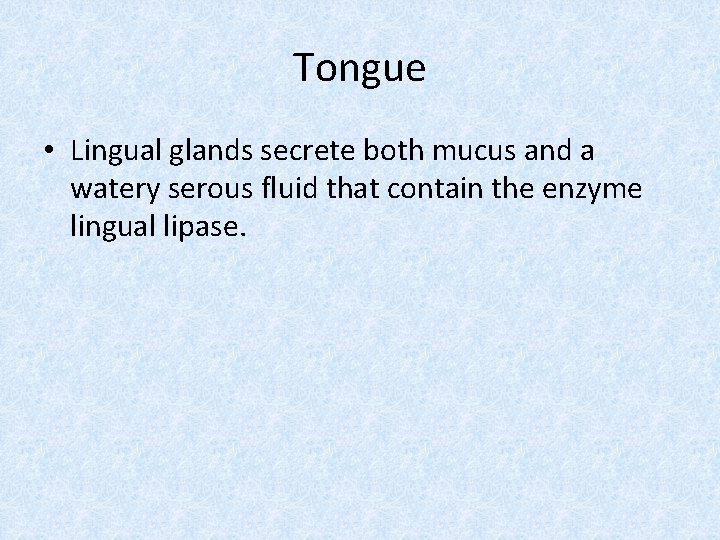 Tongue • Lingual glands secrete both mucus and a watery serous fluid that contain