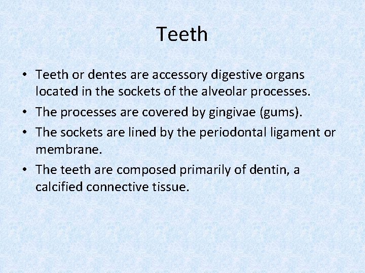 Teeth • Teeth or dentes are accessory digestive organs located in the sockets of