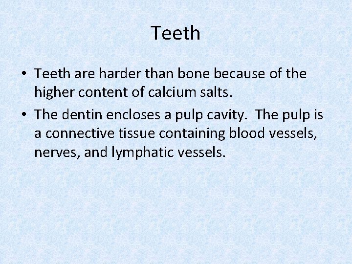 Teeth • Teeth are harder than bone because of the higher content of calcium