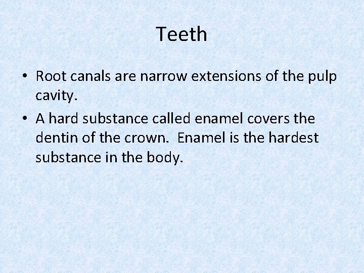 Teeth • Root canals are narrow extensions of the pulp cavity. • A hard