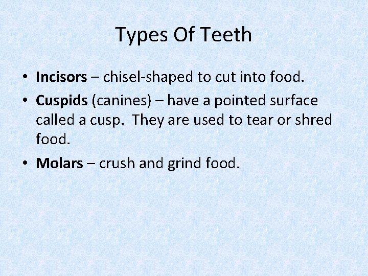 Types Of Teeth • Incisors – chisel-shaped to cut into food. • Cuspids (canines)