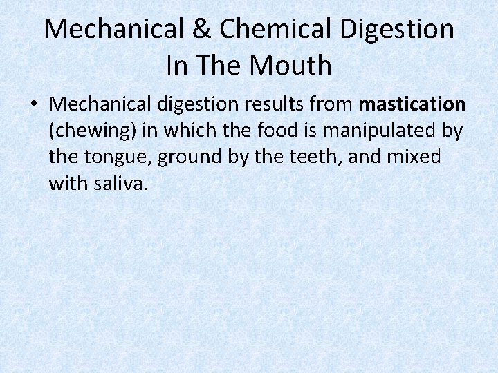Mechanical & Chemical Digestion In The Mouth • Mechanical digestion results from mastication (chewing)