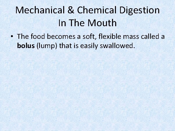 Mechanical & Chemical Digestion In The Mouth • The food becomes a soft, flexible