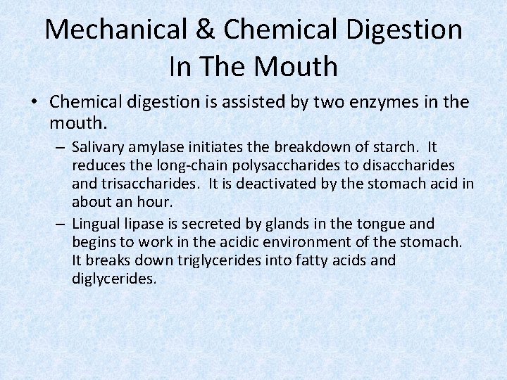 Mechanical & Chemical Digestion In The Mouth • Chemical digestion is assisted by two