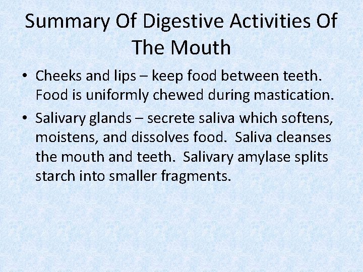 Summary Of Digestive Activities Of The Mouth • Cheeks and lips – keep food