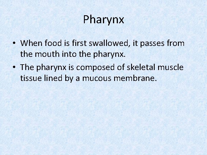Pharynx • When food is first swallowed, it passes from the mouth into the
