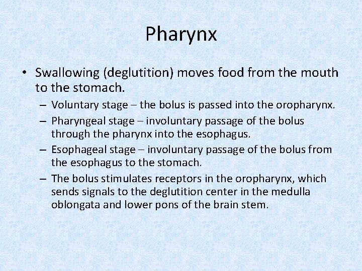 Pharynx • Swallowing (deglutition) moves food from the mouth to the stomach. – Voluntary