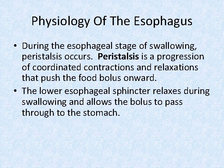 Physiology Of The Esophagus • During the esophageal stage of swallowing, peristalsis occurs. Peristalsis