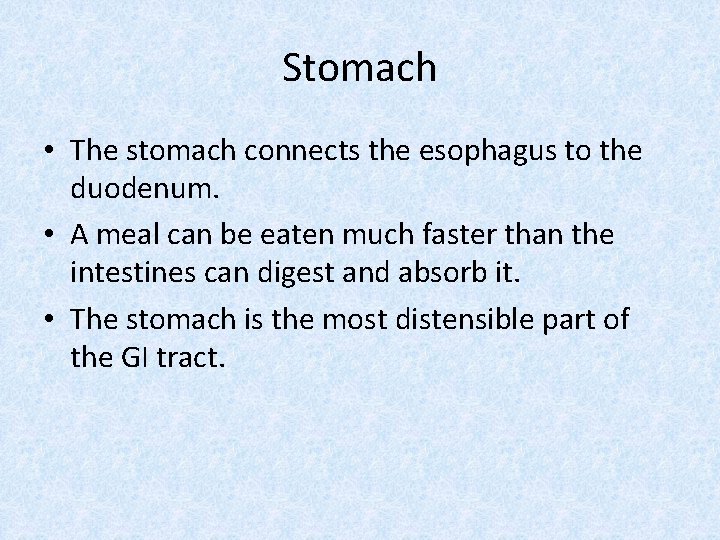 Stomach • The stomach connects the esophagus to the duodenum. • A meal can