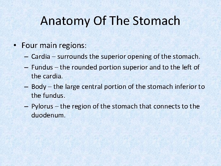 Anatomy Of The Stomach • Four main regions: – Cardia – surrounds the superior