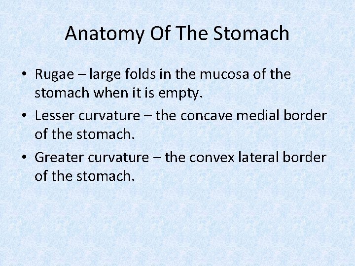 Anatomy Of The Stomach • Rugae – large folds in the mucosa of the