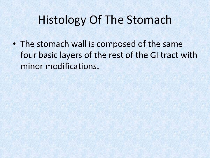 Histology Of The Stomach • The stomach wall is composed of the same four