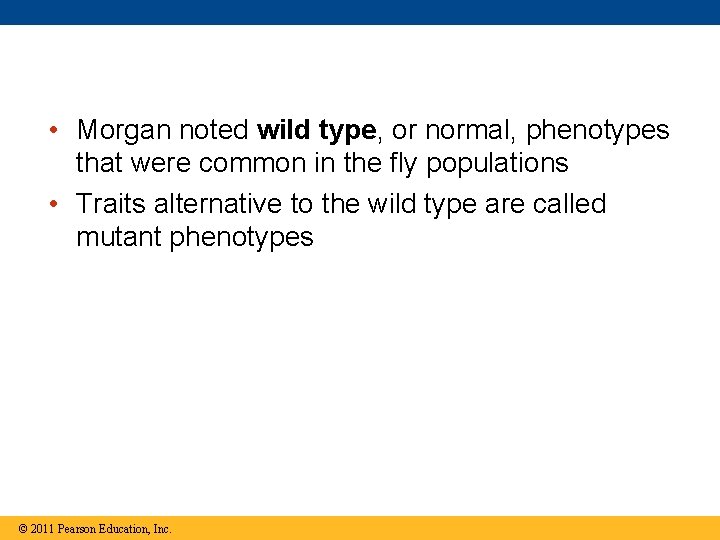  • Morgan noted wild type, or normal, phenotypes that were common in the