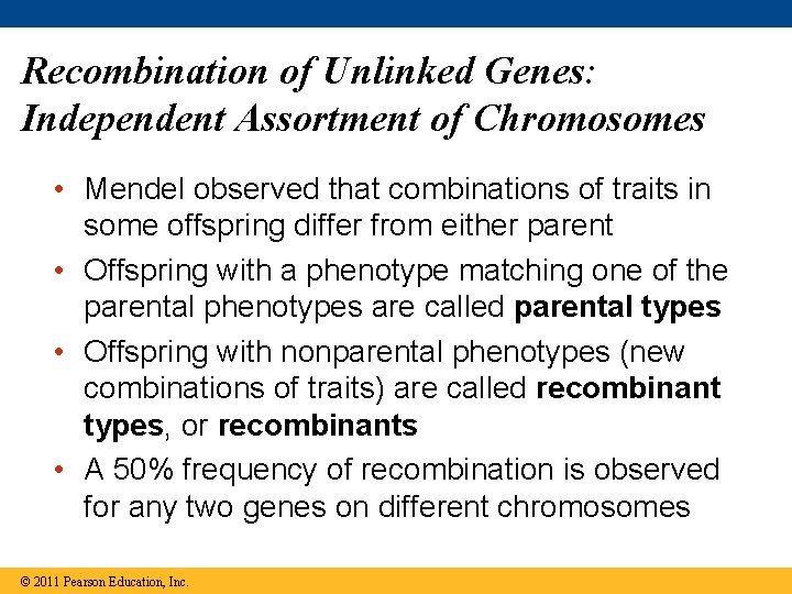Recombination of Unlinked Genes: Independent Assortment of Chromosomes • Mendel observed that combinations of