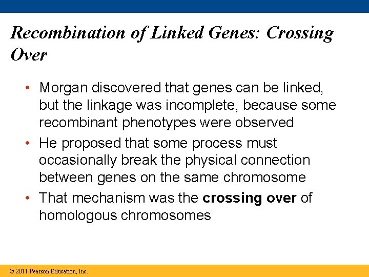 Recombination of Linked Genes: Crossing Over • Morgan discovered that genes can be linked,