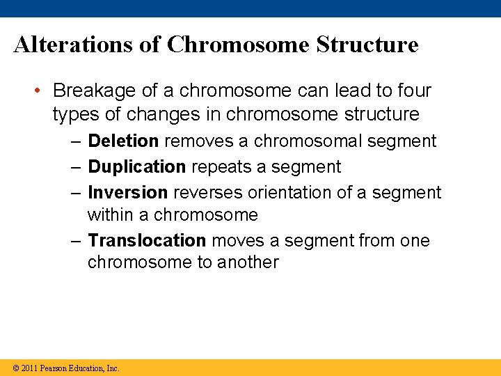 Alterations of Chromosome Structure • Breakage of a chromosome can lead to four types