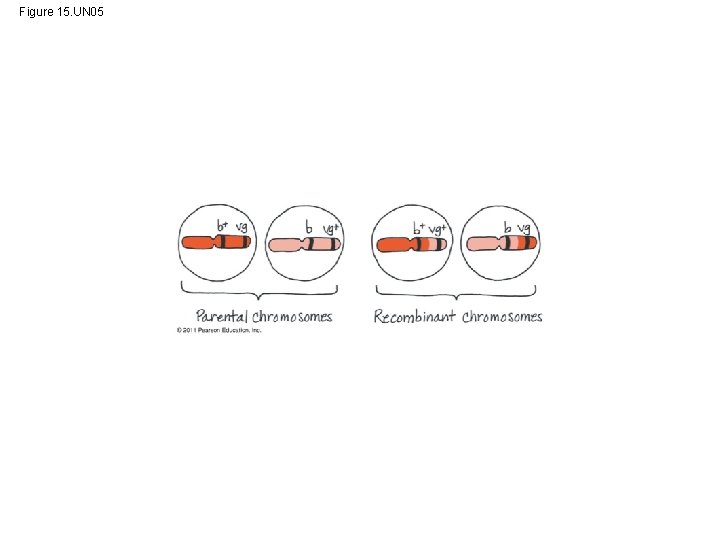 Figure 15. UN 05 