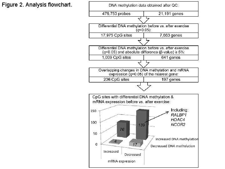 Figure 2. Analysis flowchart. 