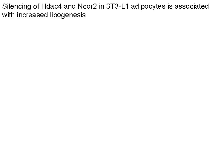 Silencing of Hdac 4 and Ncor 2 in 3 T 3 -L 1 adipocytes