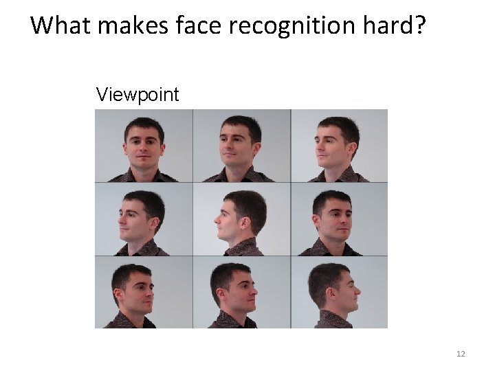 What makes face recognition hard? Viewpoint 12 