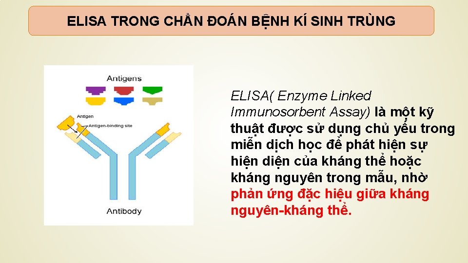 ELISA TRONG CHẨN ĐOÁN BỆNH KÍ SINH TRÙNG ELISA( Enzyme Linked Immunosorbent Assay) là