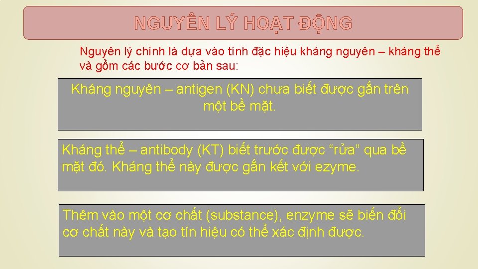 NGUYÊN LÝ HOẠT ĐỘNG Nguyên lý chính là dựa vào tính đặc hiệu kháng