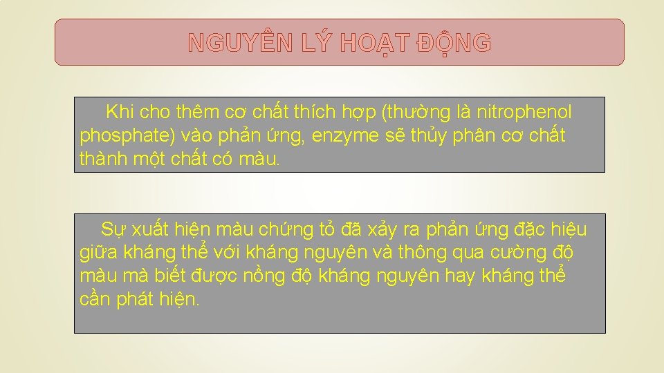 NGUYÊN LÝ HOẠT ĐỘNG Khi cho thêm cơ chất thích hợp (thường là nitrophenol