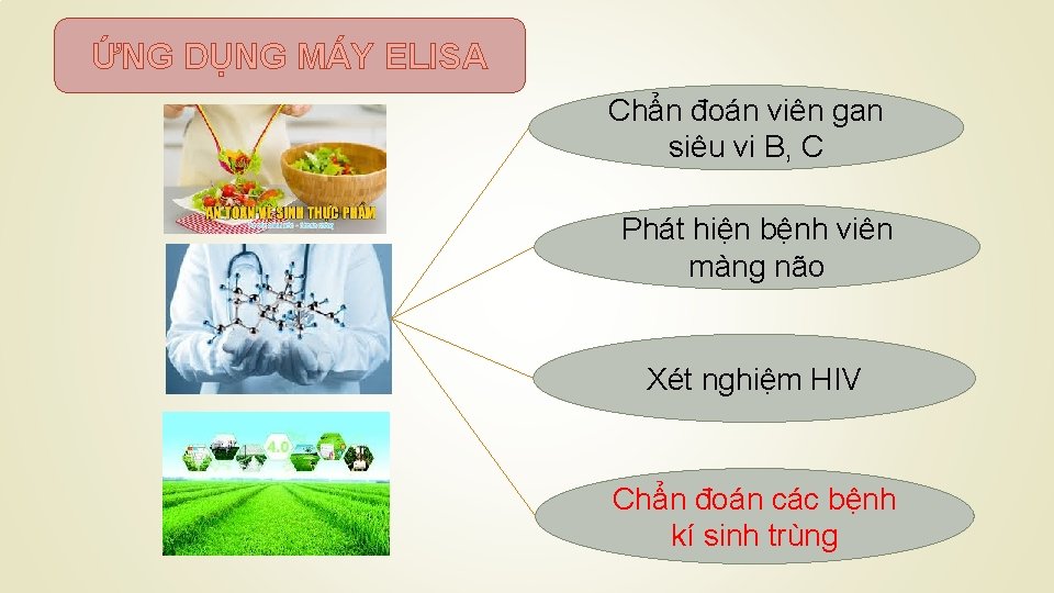 ỨNG DỤNG MÁY ELISA Chẩn đoán viên gan siêu vi B, C Phát hiện