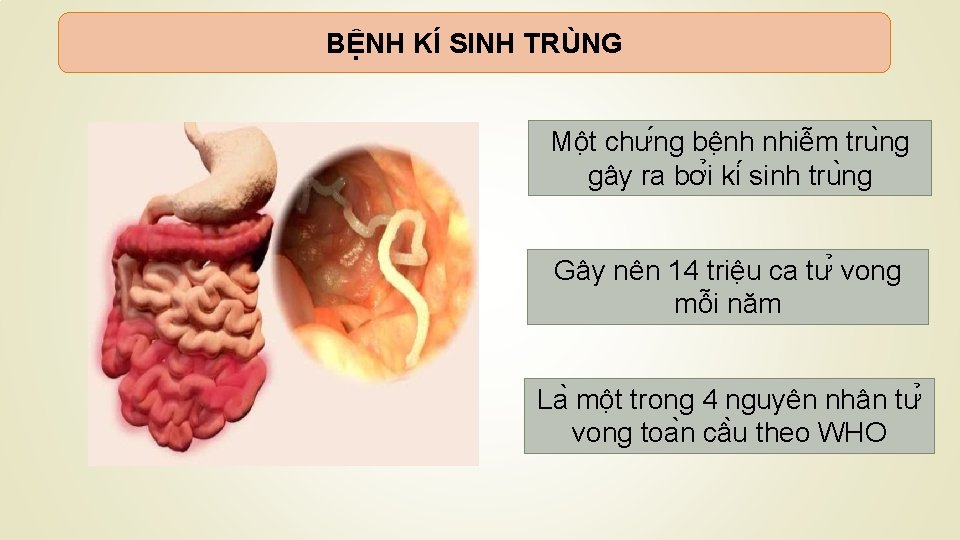 BỆNH KÍ SINH TRÙNG Mô t chư ng bê nh nhiê m tru ng