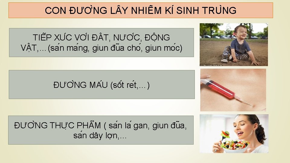 CON ĐƯƠ NG L Y NHIÊ M KI SINH TRU NG TIÊ P XU