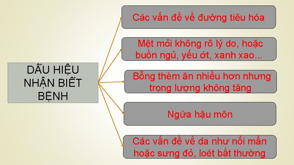 Các vấn đề về đường tiêu hóa Mệt mỏi không rõ lý do, hoặc