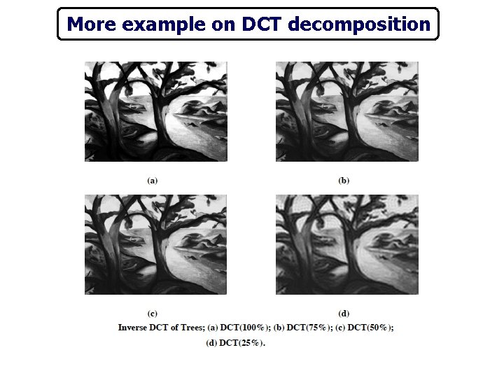 More example on DCT decomposition 