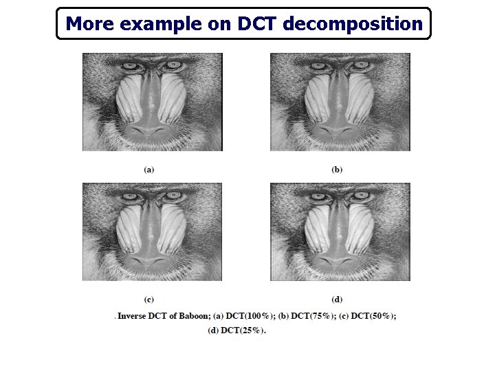 More example on DCT decomposition 