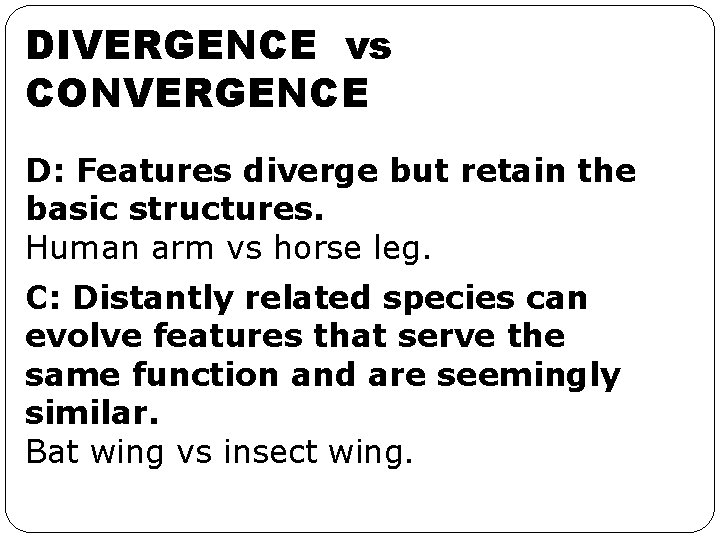 DIVERGENCE vs CONVERGENCE D: Features diverge but retain the basic structures. Human arm vs