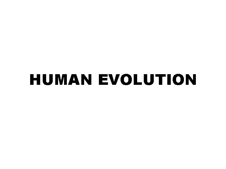 HUMAN EVOLUTION 