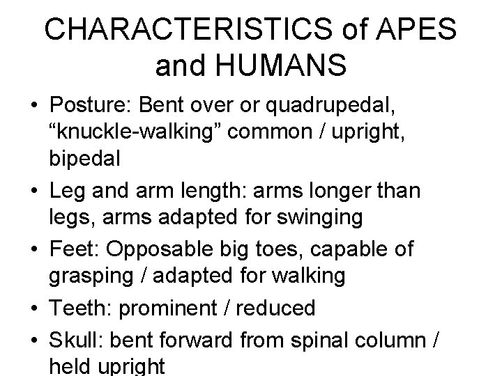 CHARACTERISTICS of APES and HUMANS • Posture: Bent over or quadrupedal, “knuckle-walking” common /