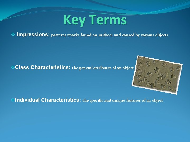 Key Terms v Impressions: patterns/marks found on surfaces and caused by various objects v.