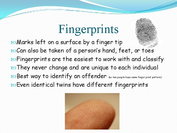 Fingerprints Marks left on a surface by a finger tip Can also be taken