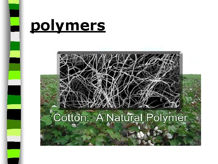 polymers 